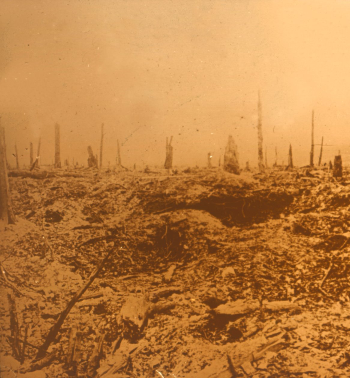 Bois du Chapitre, Vaux, Nord-Frankrike, c1914-c1918 av Unbekannt