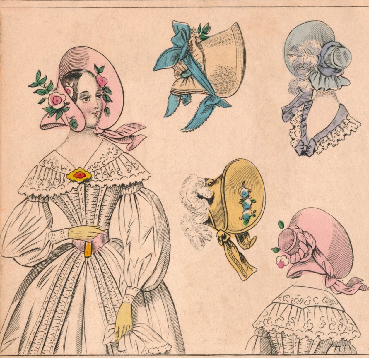 Panser, 1800-tallet. av Unbekannt