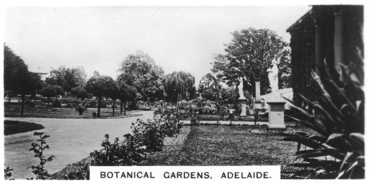 Botanisk hage, Adelaide, Australia, 1928 av Unbekannt