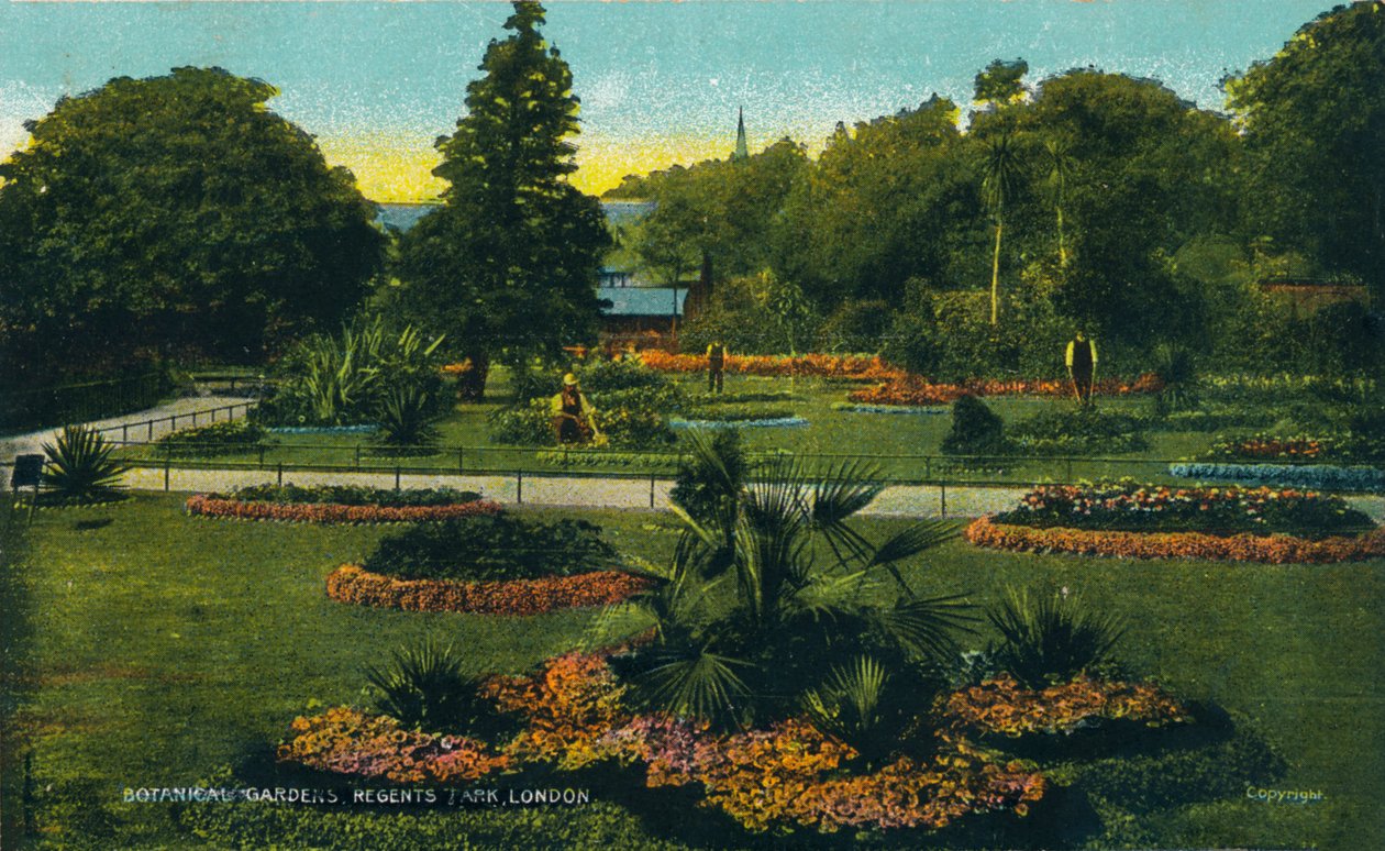 Botanisk hage, Regents Park, London, c1910 av Unbekannt