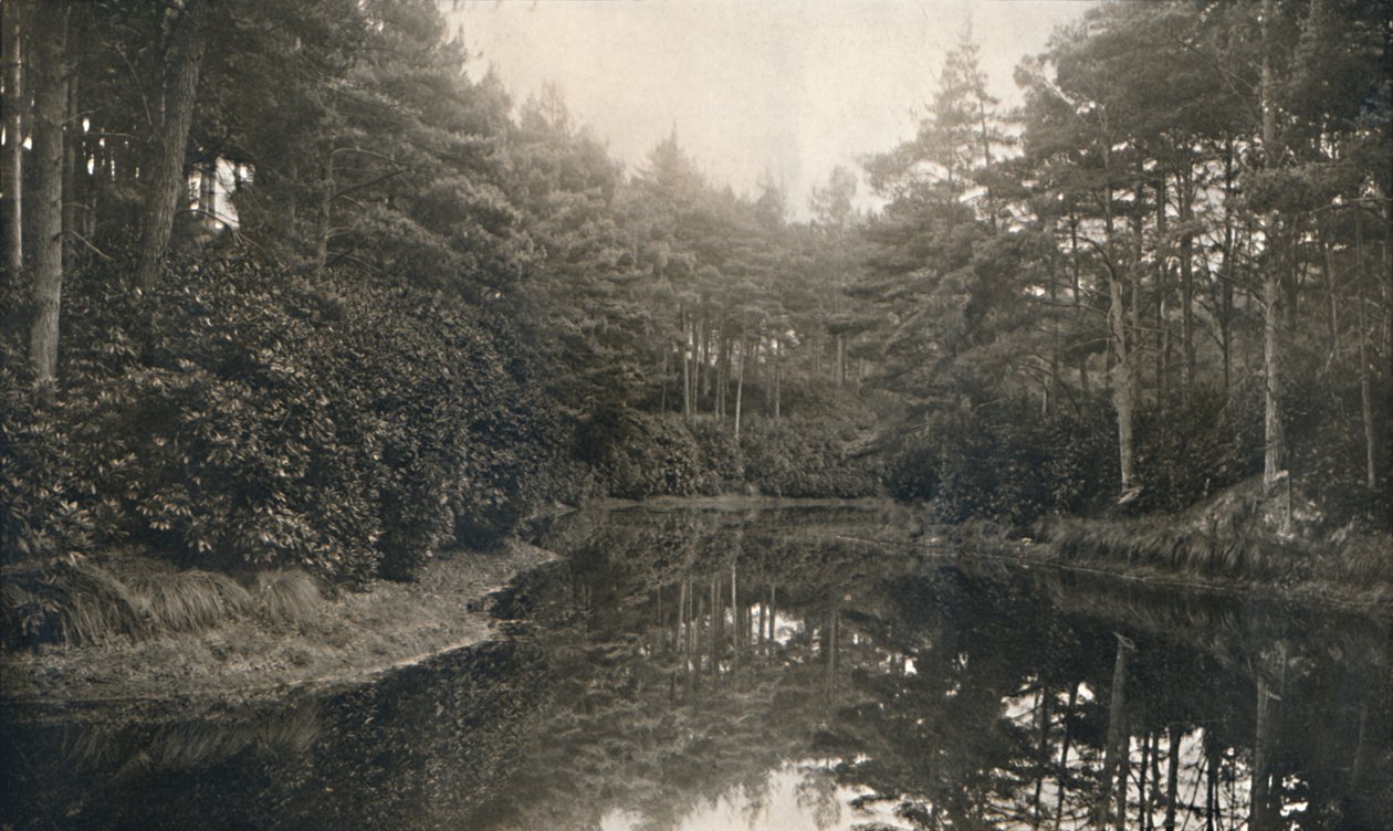 Branksome Chine and Lake, c1910 av Unbekannt