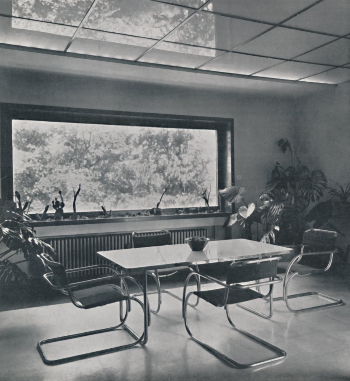 Frokostrom i et hus i Bucuresti av Rudolf Frankel, 1942 av Unbekannt