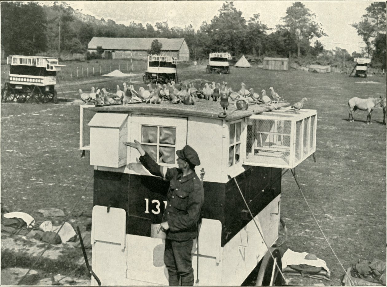 British Army Carrier Pigeons in France: Horse-Drawn Lofts, 1919. av Unbekannt