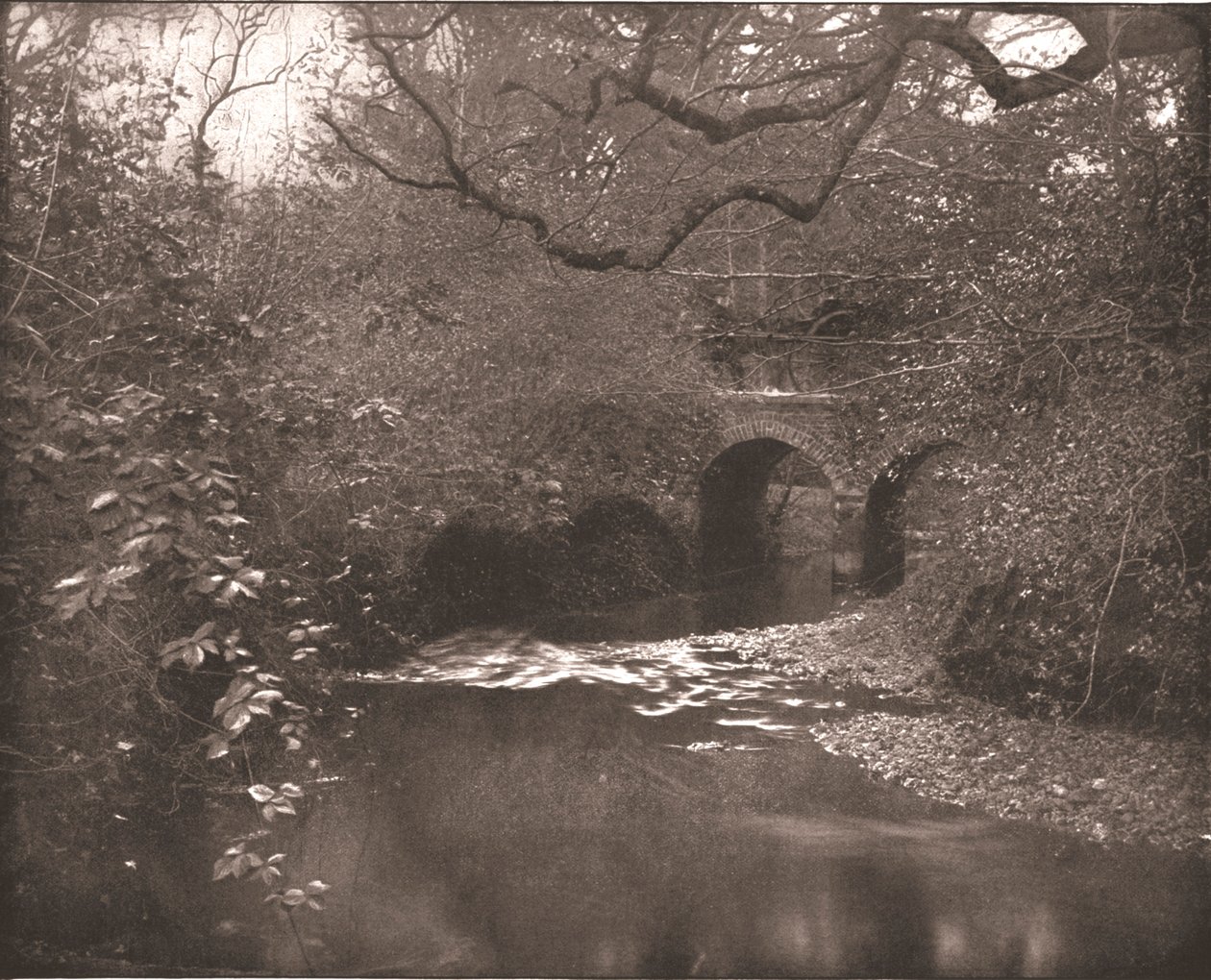 Bekk og bro i New Forest, Hampshire, 1894. av Unbekannt