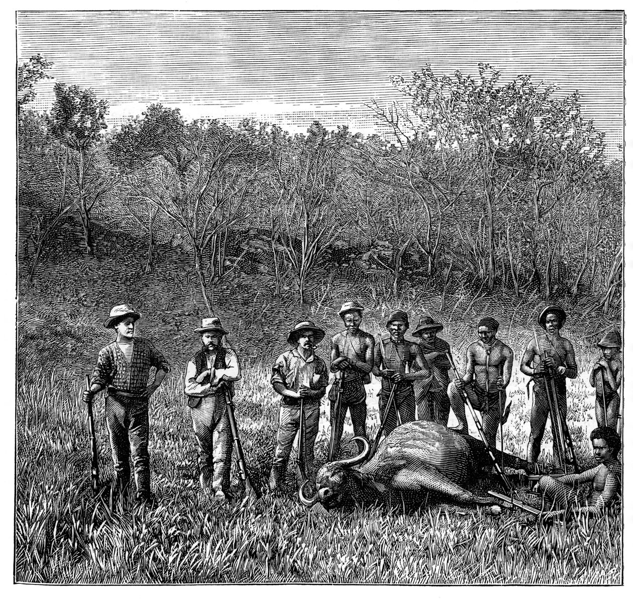 Bøffeljegere i Transvaal, Sør-Afrika, ca 1890 av Unbekannt