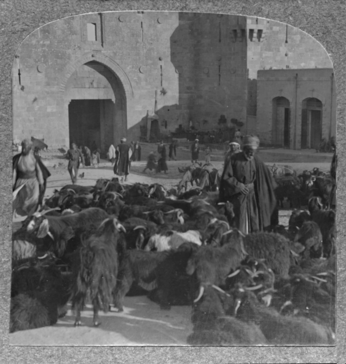 Kjøper geiter ved Damaskus-porten, Jerusalem, ca 1900 av Unbekannt