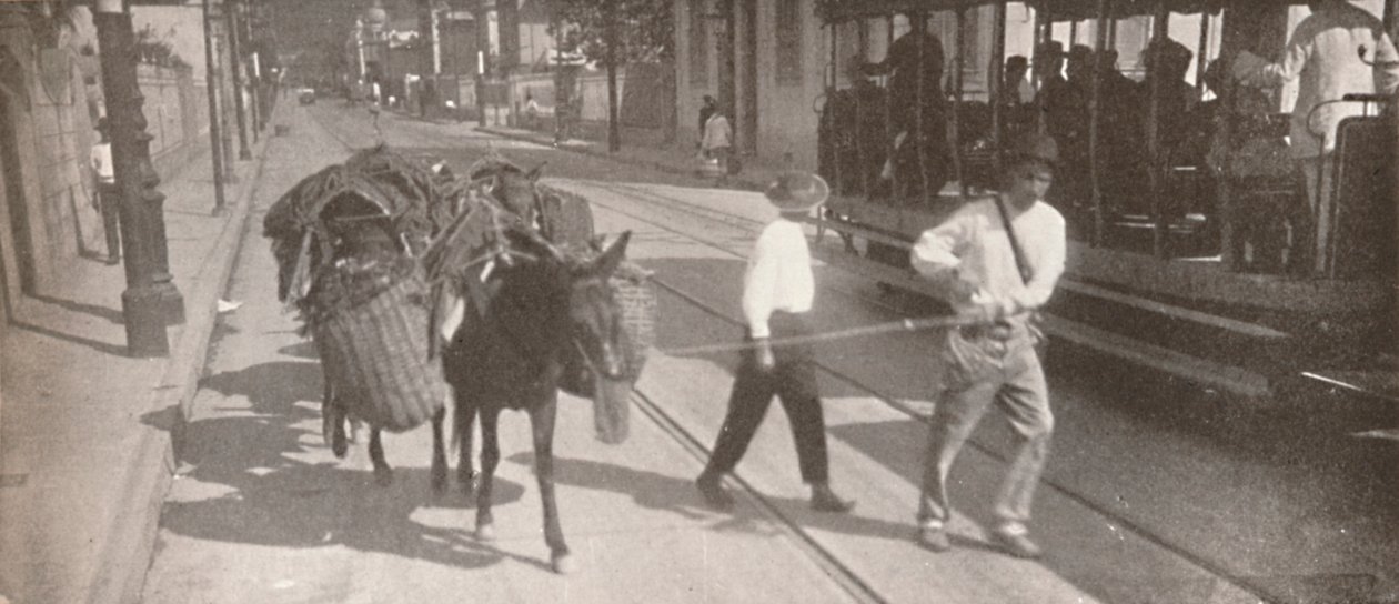 Med trikk og muldyr, 1914 av Unbekannt