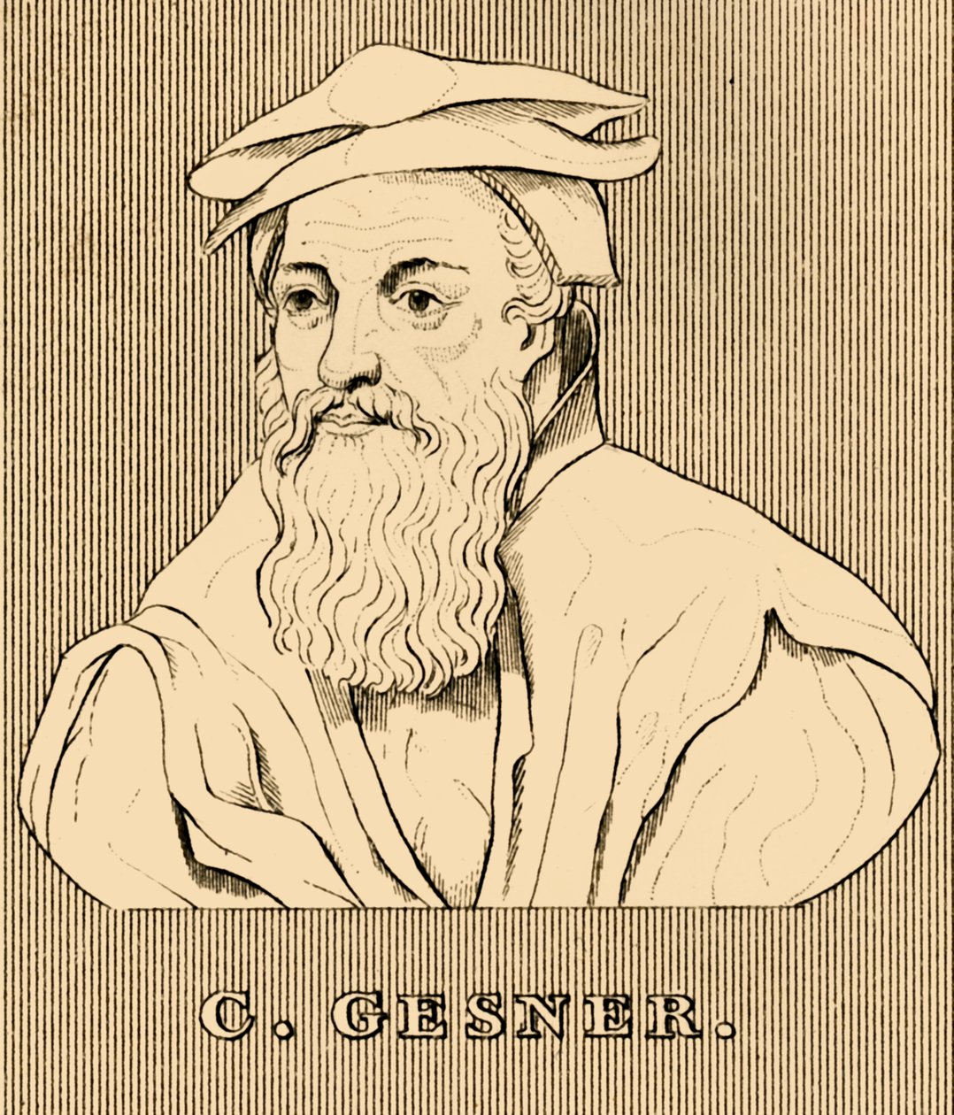 C. Gesner, 1516-1565, 1830 av Unbekannt