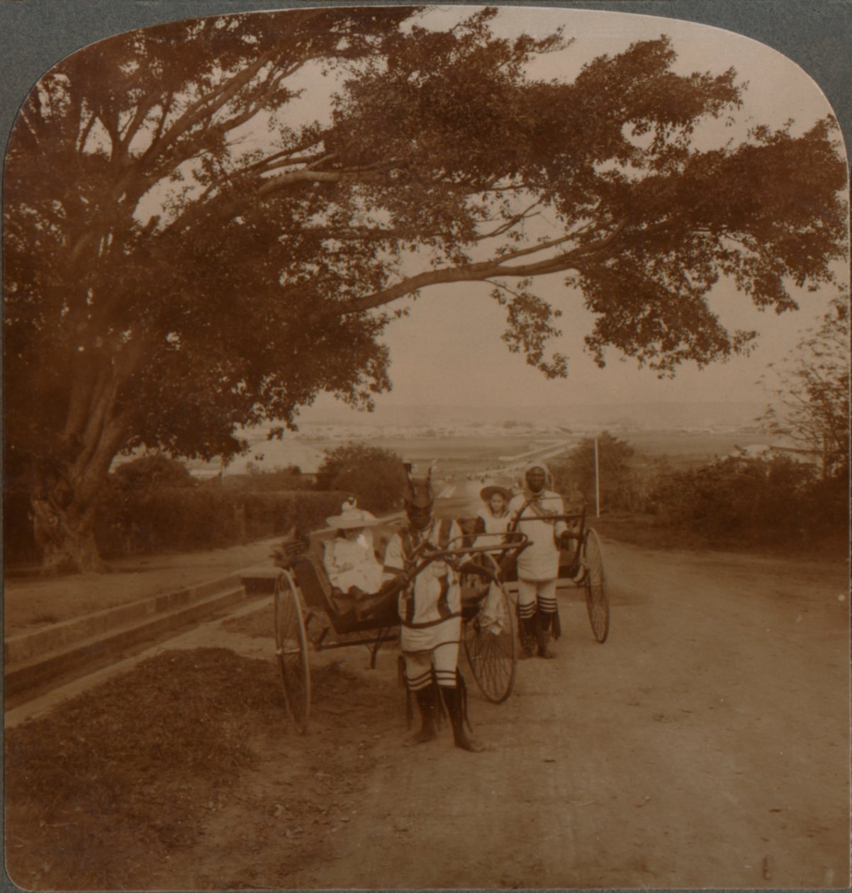 Drosjer tegnet av innfødte på en boligvei, Durban, S. Afrika, c1900 av Unbekannt
