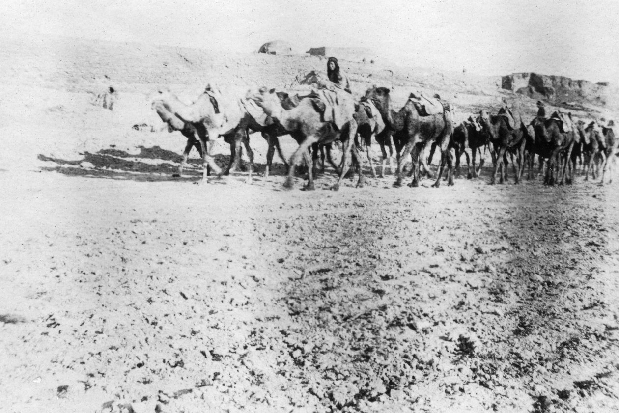 Kameltog, Mosul, Mesopotamia, 1918 av Unbekannt