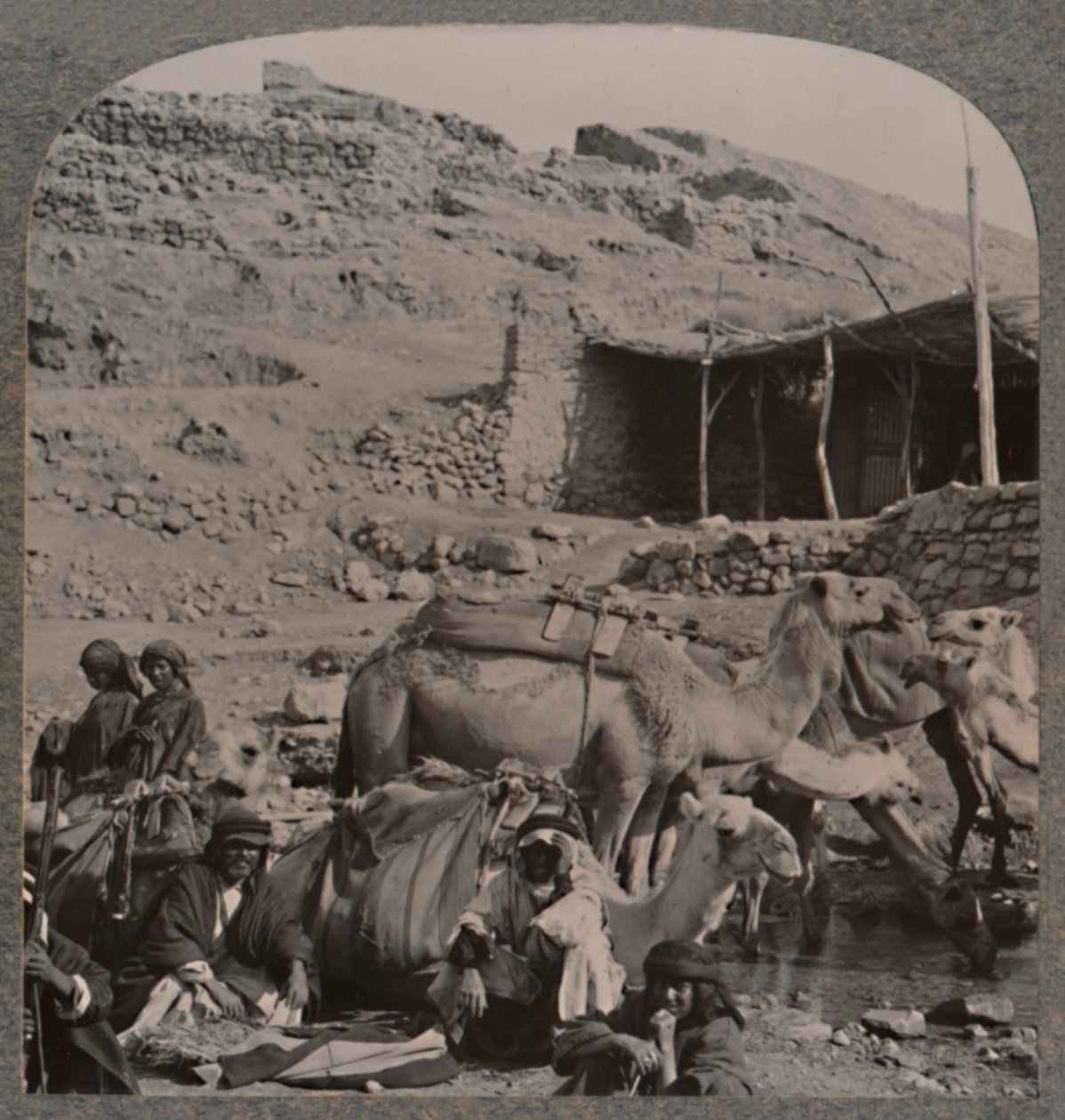 Kameltog fra Jerash, vanning ved Elisha-fontenen, ca. 1900 av Unbekannt