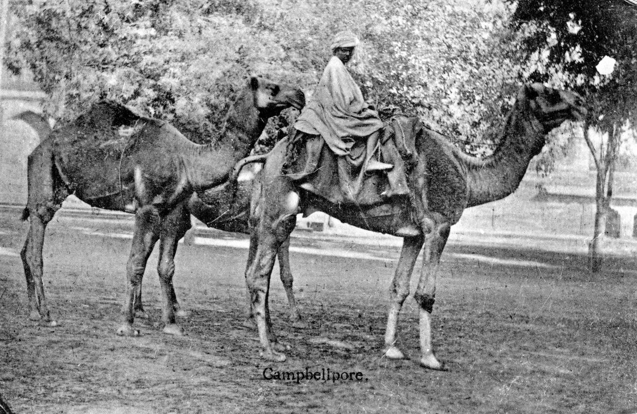 Campbellpore, Pakistan, 1900-tallet av Unbekannt