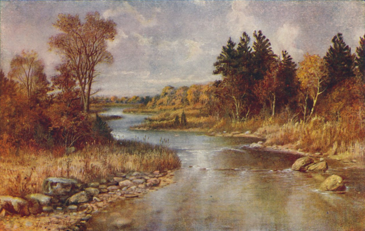 Kanadisk skogscene, 1924 av Unbekannt