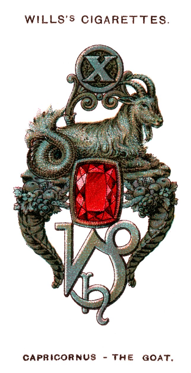 Steinbukken, geiten, 1923 av Unbekannt