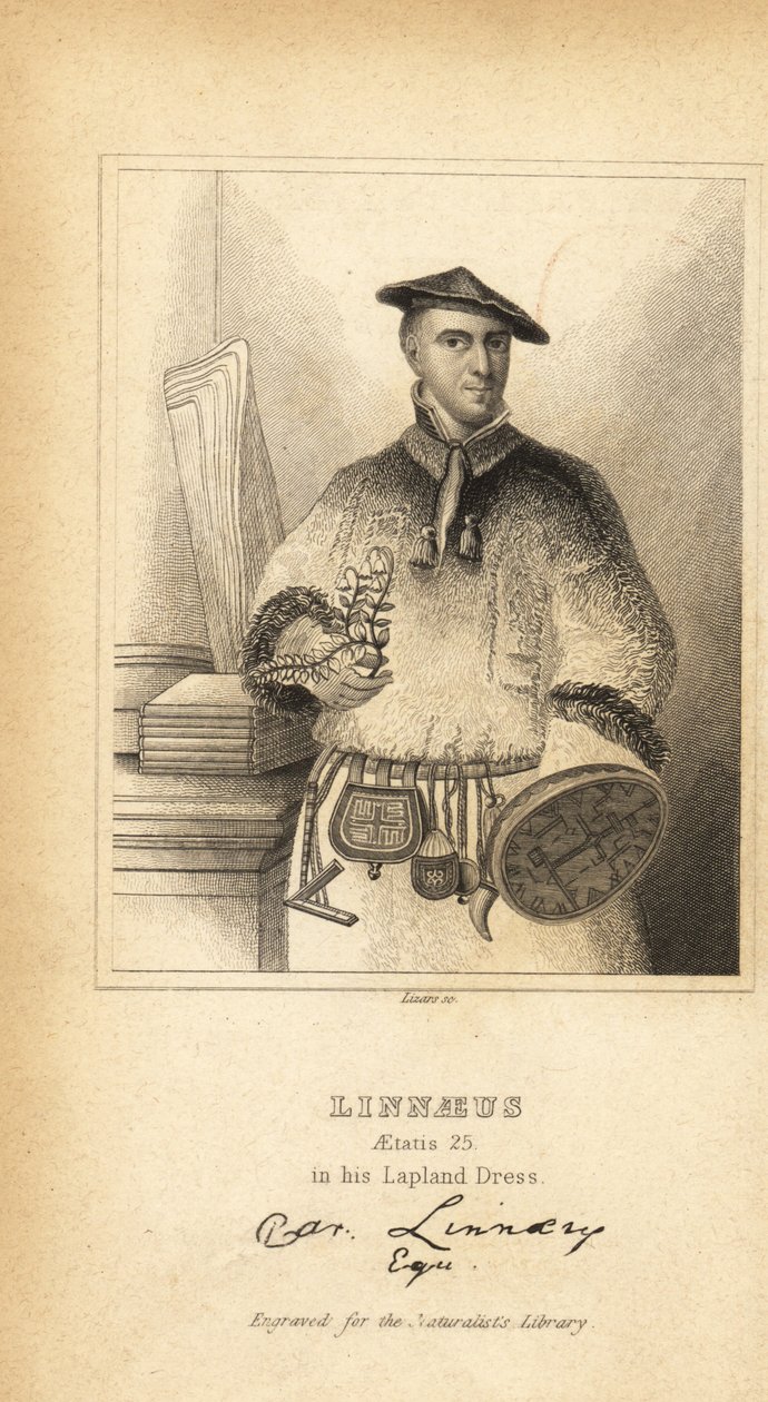 Carl Linnaeus in his Lapland Dress , svensk botaniker, lege og zoolog, oppfinner av binomial nomenklatur av Unbekannt
