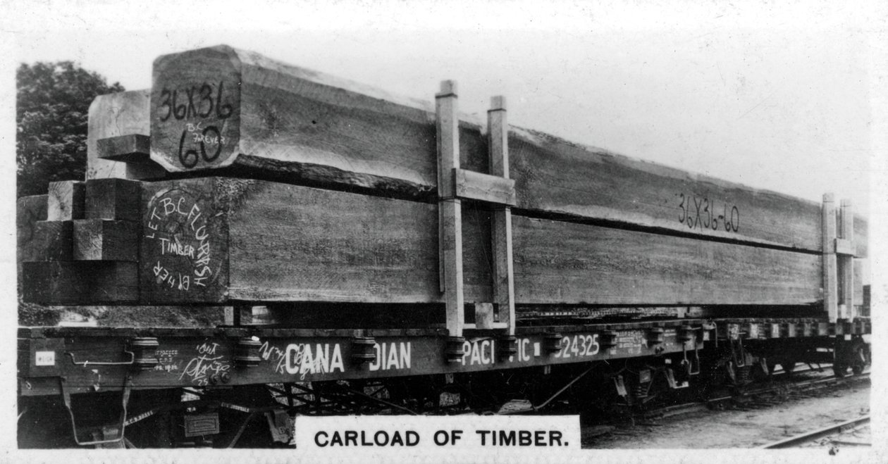 Billass med Douglasgran, Canada, ca 1920-tallet av Unbekannt
