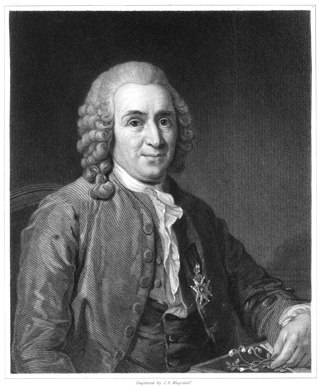 Carolus Linnaeus , svensk naturforsker fra 1700-tallet, 1835 av Unbekannt