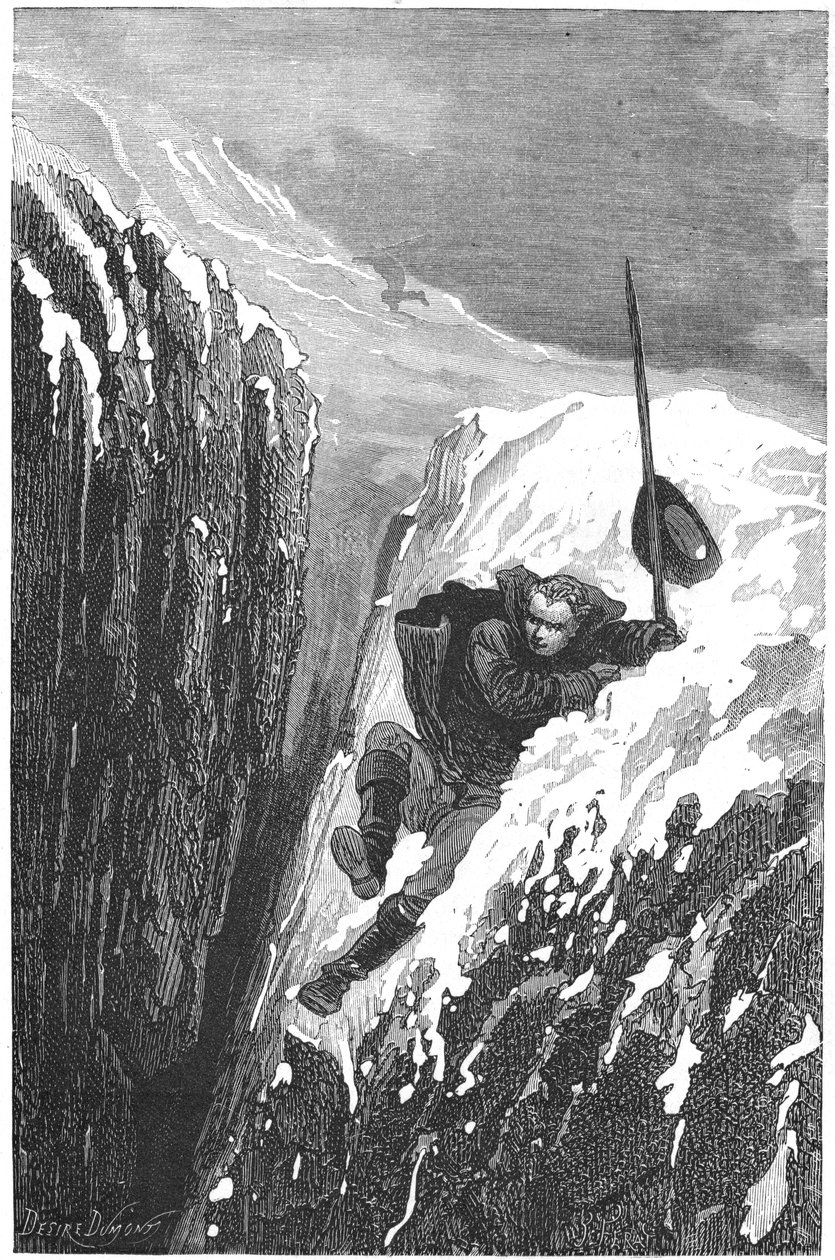 Carolus Linnaeus , svensk vitenskapsmann og naturforsker fra 1700-tallet, 1874 av Unbekannt