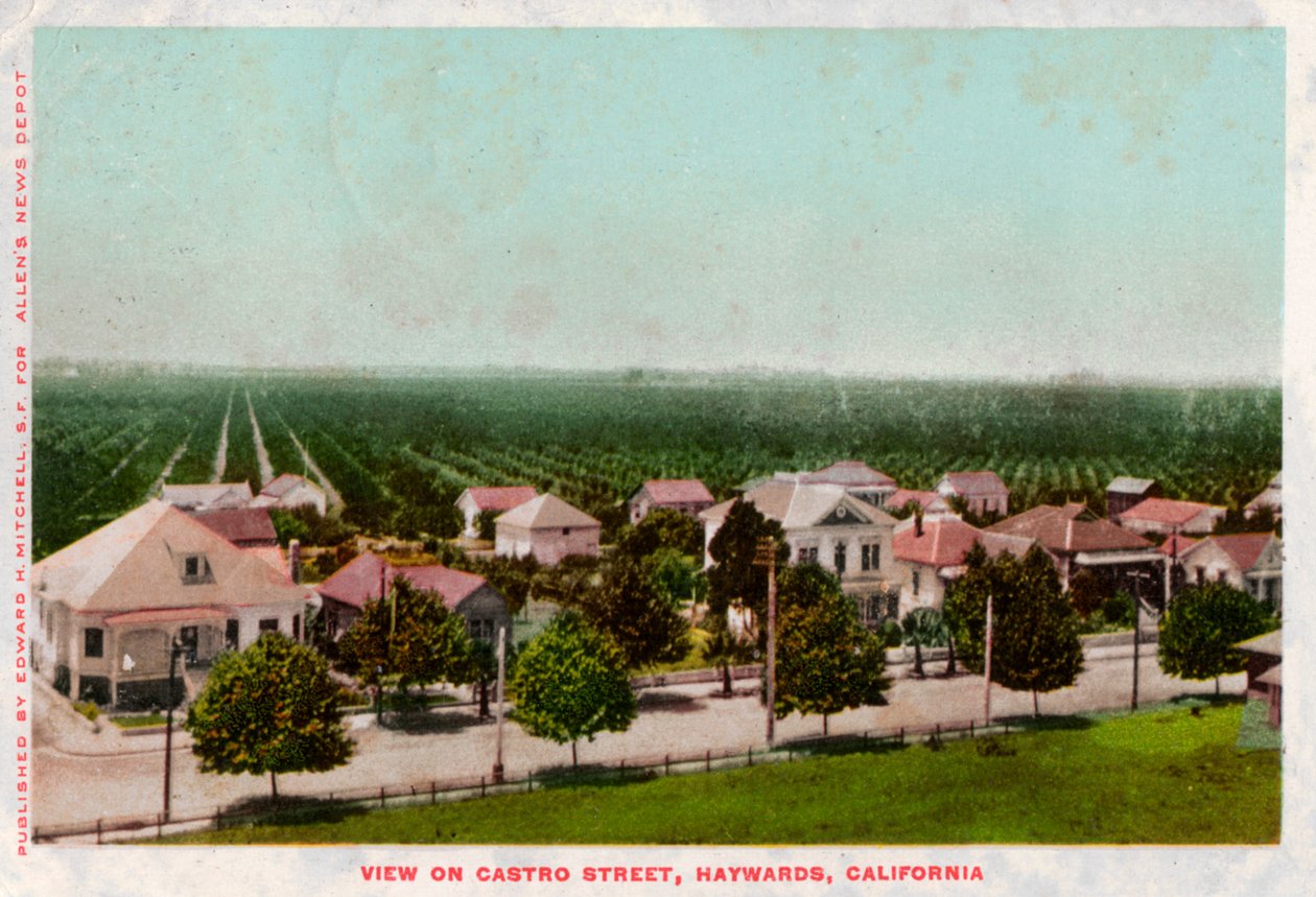 Castro Street, Hayward, California, 1905 av Unbekannt