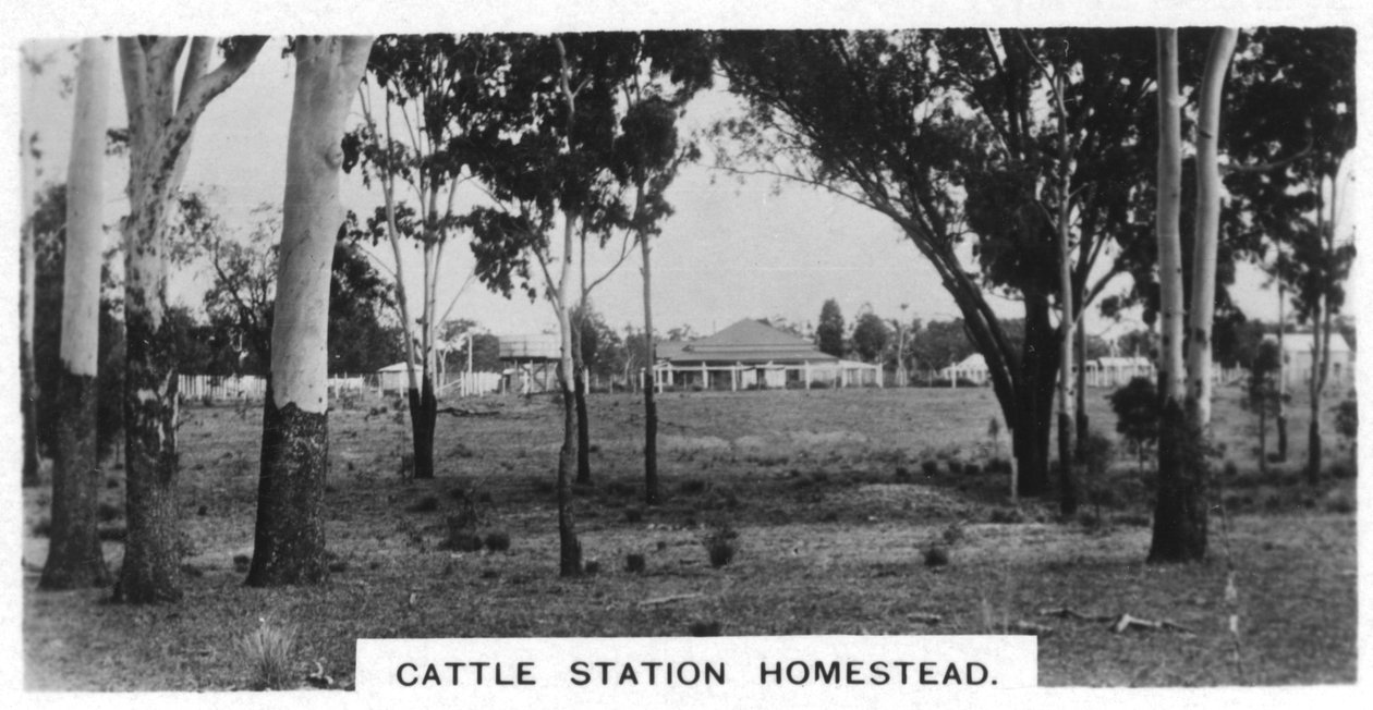Cattle station homestead, Australia, 1928 av Unbekannt