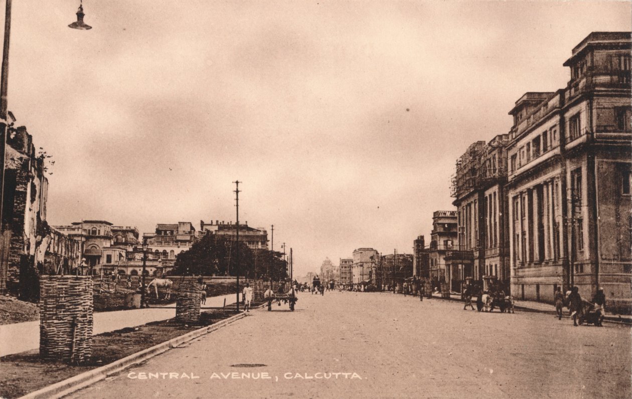 Central Avenue, Calcutta, c1900 av Unbekannt
