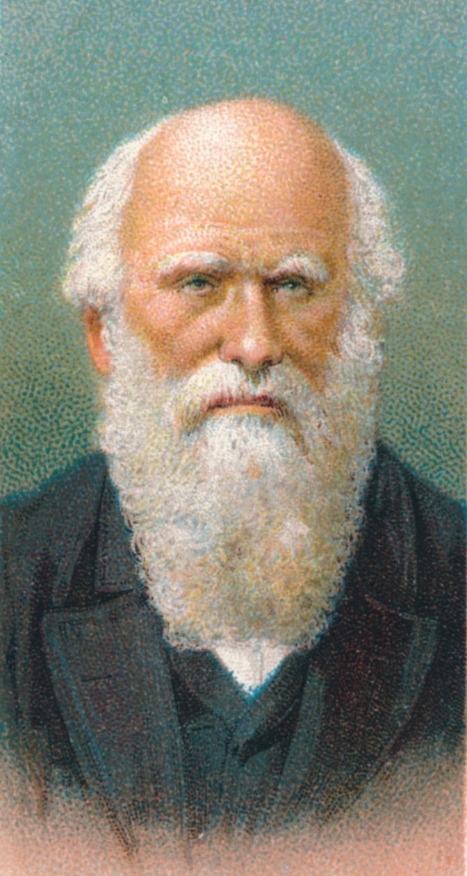 Charles Darwin 1809-1882, britisk naturforsker, 1924 av Unbekannt