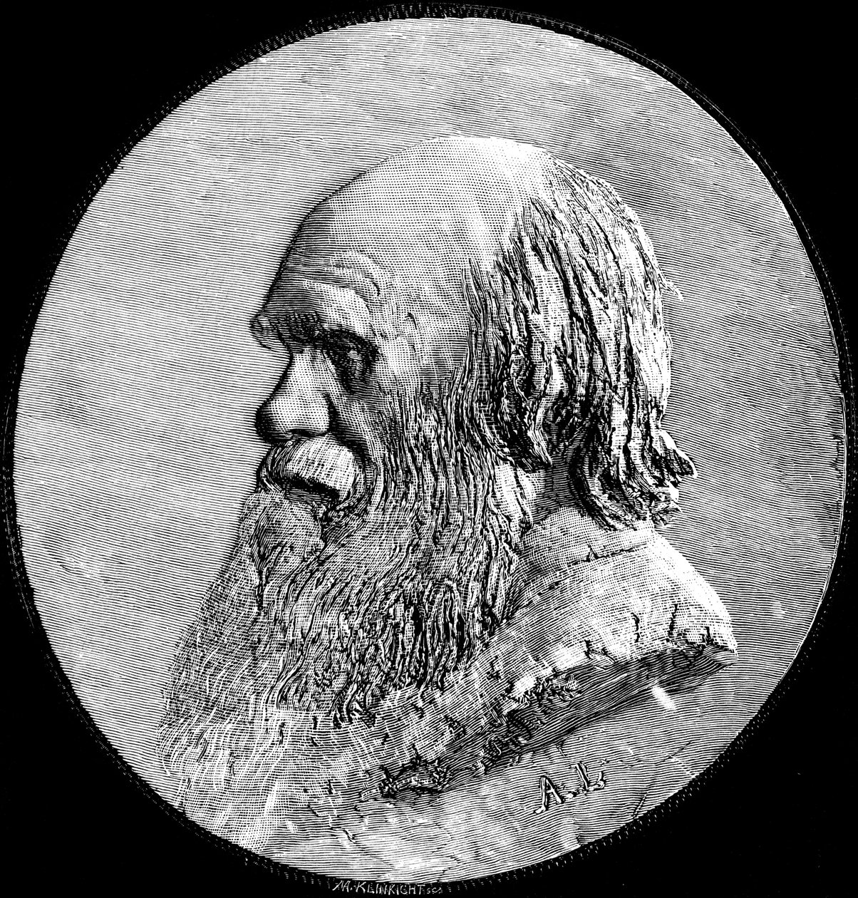 Charles Darwin, 1882 av Unbekannt