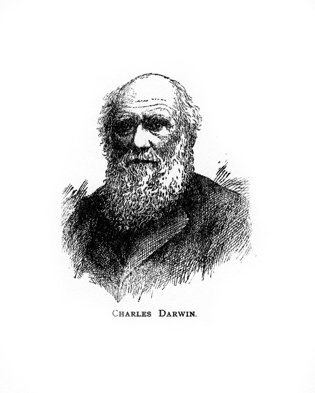 Charles Darwin, britisk naturforsker fra 1800-tallet, 1900-tallet av Unbekannt