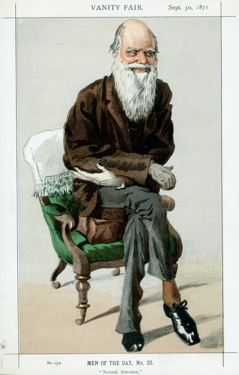 Charles Darwin, engelsk naturforsker, 1871 av Unbekannt