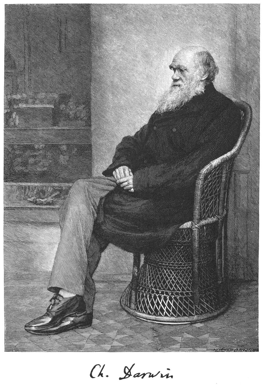 Charles Darwin, engelsk naturforsker, 1883 av Unbekannt