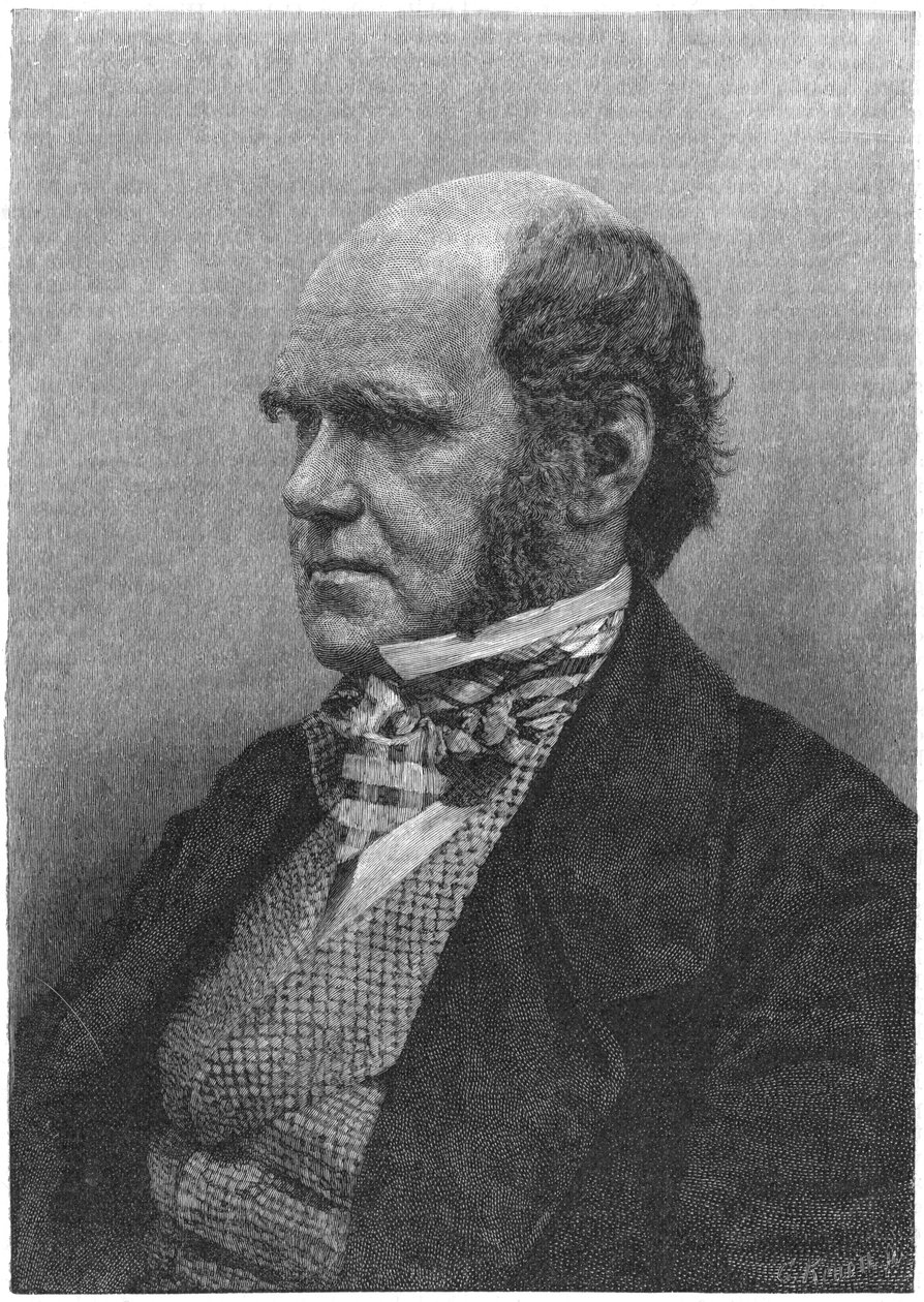 Charles Darwin, engelsk naturforsker, 1884 av Unbekannt