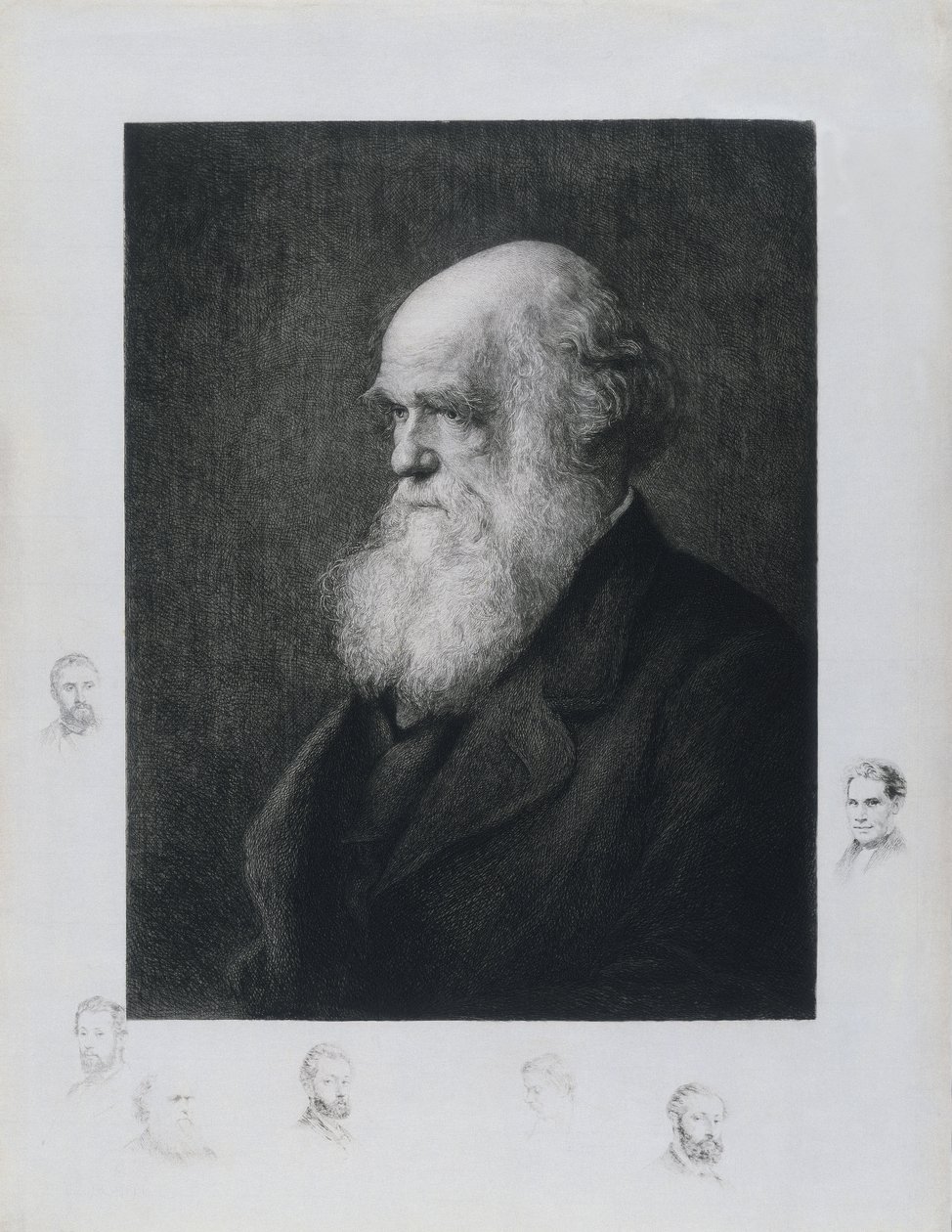 Charles Darwin, engelsk naturforsker, ca 1860-tallet av Unbekannt