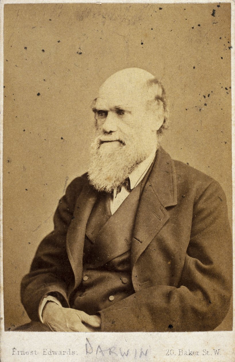 Charles Darwin, engelsk naturforsker, ca 1870-tallet av Unbekannt