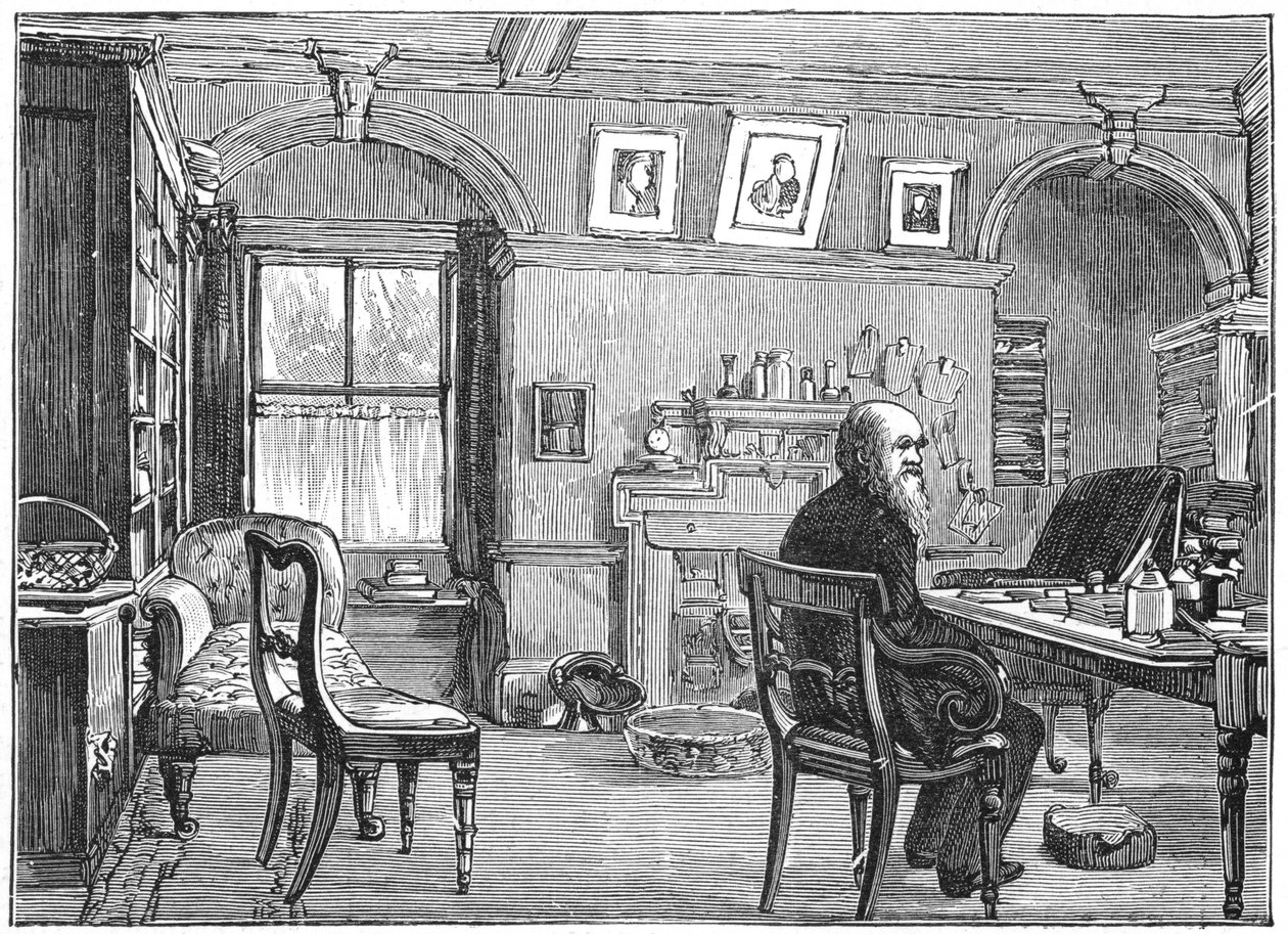 Charles Darwin, engelsk naturforsker, i sin studie, c1870 1887 av Unbekannt