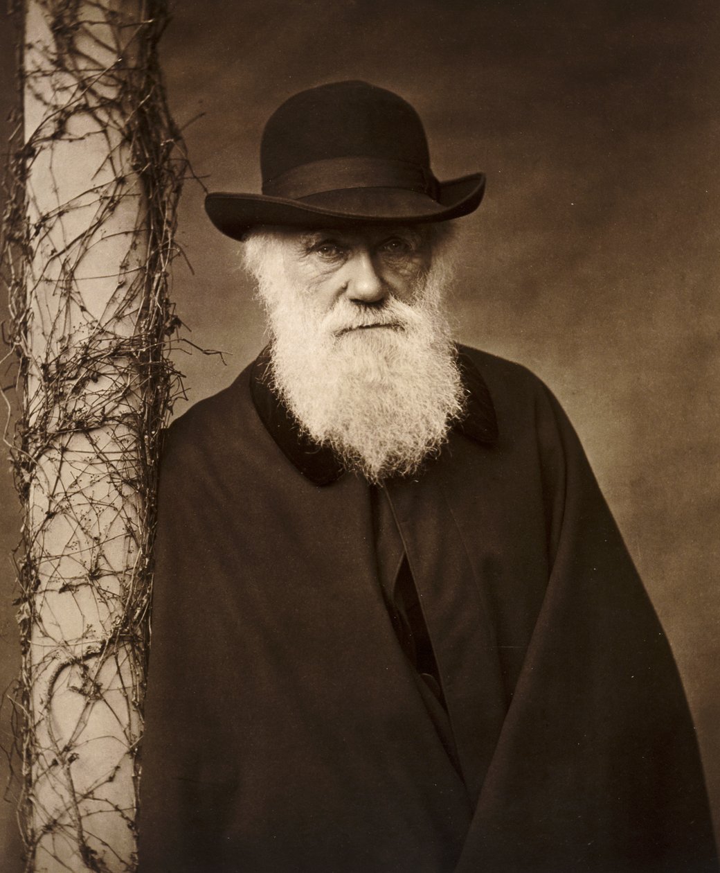 Charles Darwin hjemme hos Down House, Kent, c1880 av Unbekannt