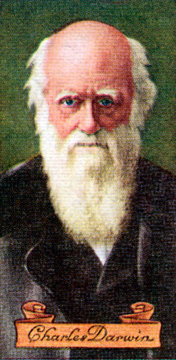 Charles Darwin, hentet fra en serie sigarettkort, 1935 av Unbekannt