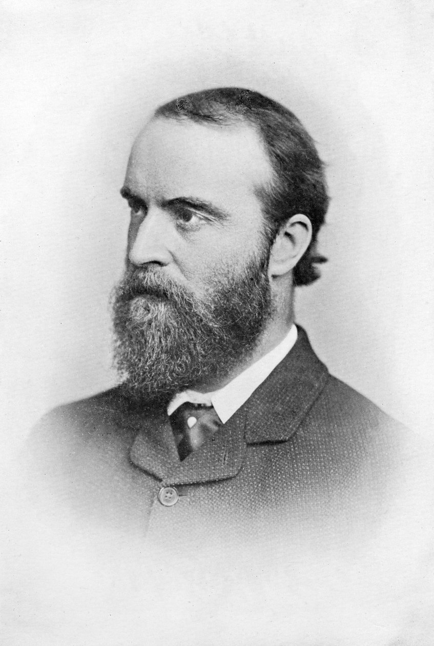 Charles Stuart Parnell , irsk politiker fra 1800-tallet, c1874-1891 av Unbekannt