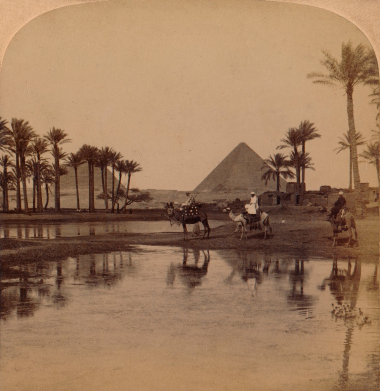 Cheops fra den fruktbare Nilen, Egypt, 1896 av Unbekannt