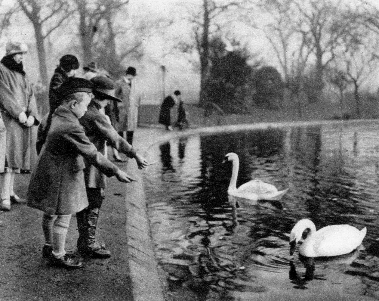 Barn som mater svanene på Serpentine, London, 1926-1927 av Unbekannt