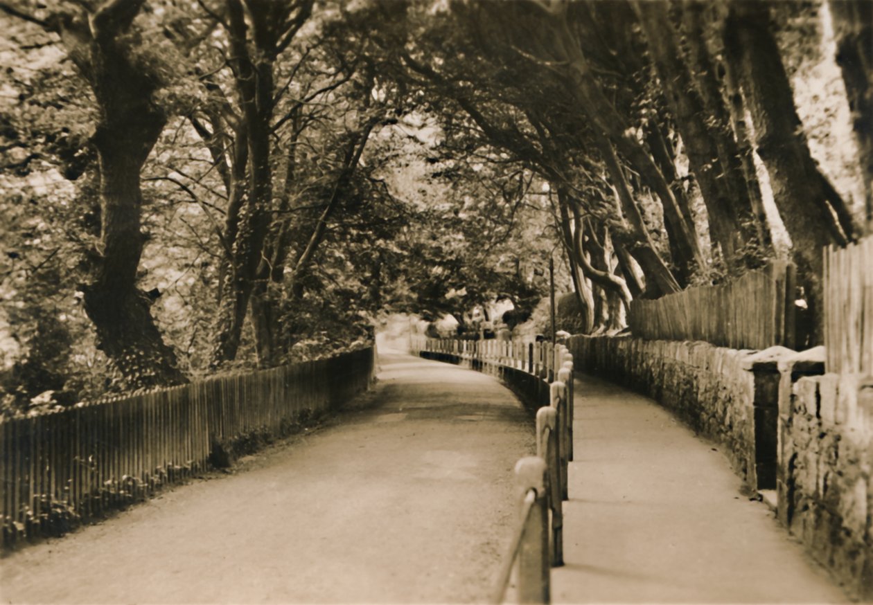 Chine Avenue, Shanklin, I.W., c1920. av Unbekannt