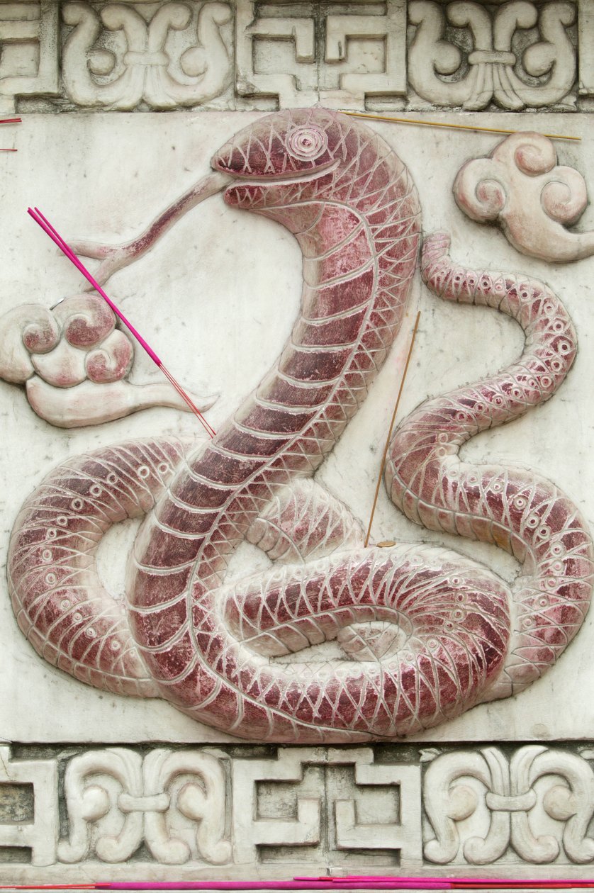 Kinesisk astrologisk tegn. Hvit skytempel Beijing Kina av Unbekannt