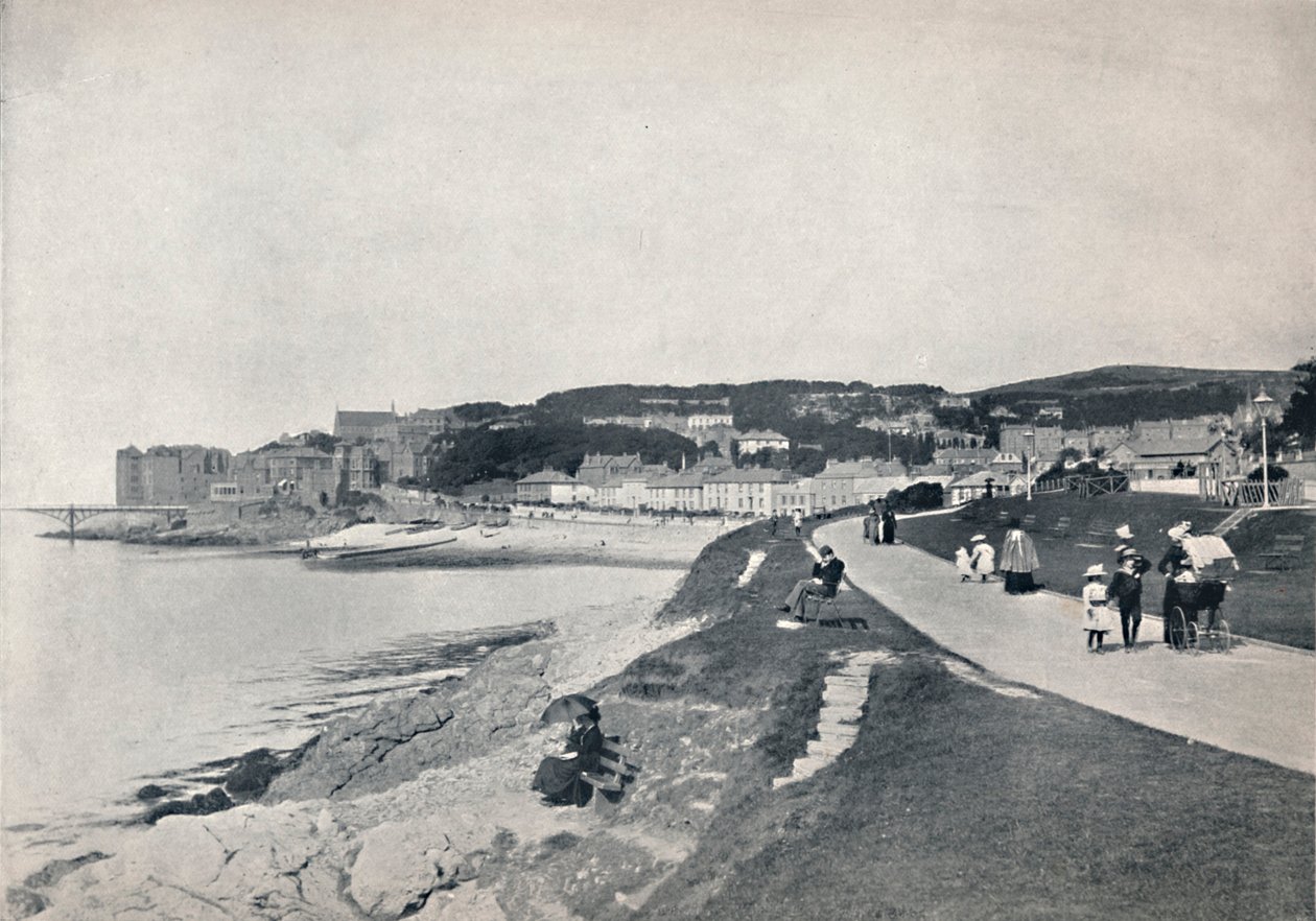 Clevedon - The Green Beach, 1895 av Unbekannt