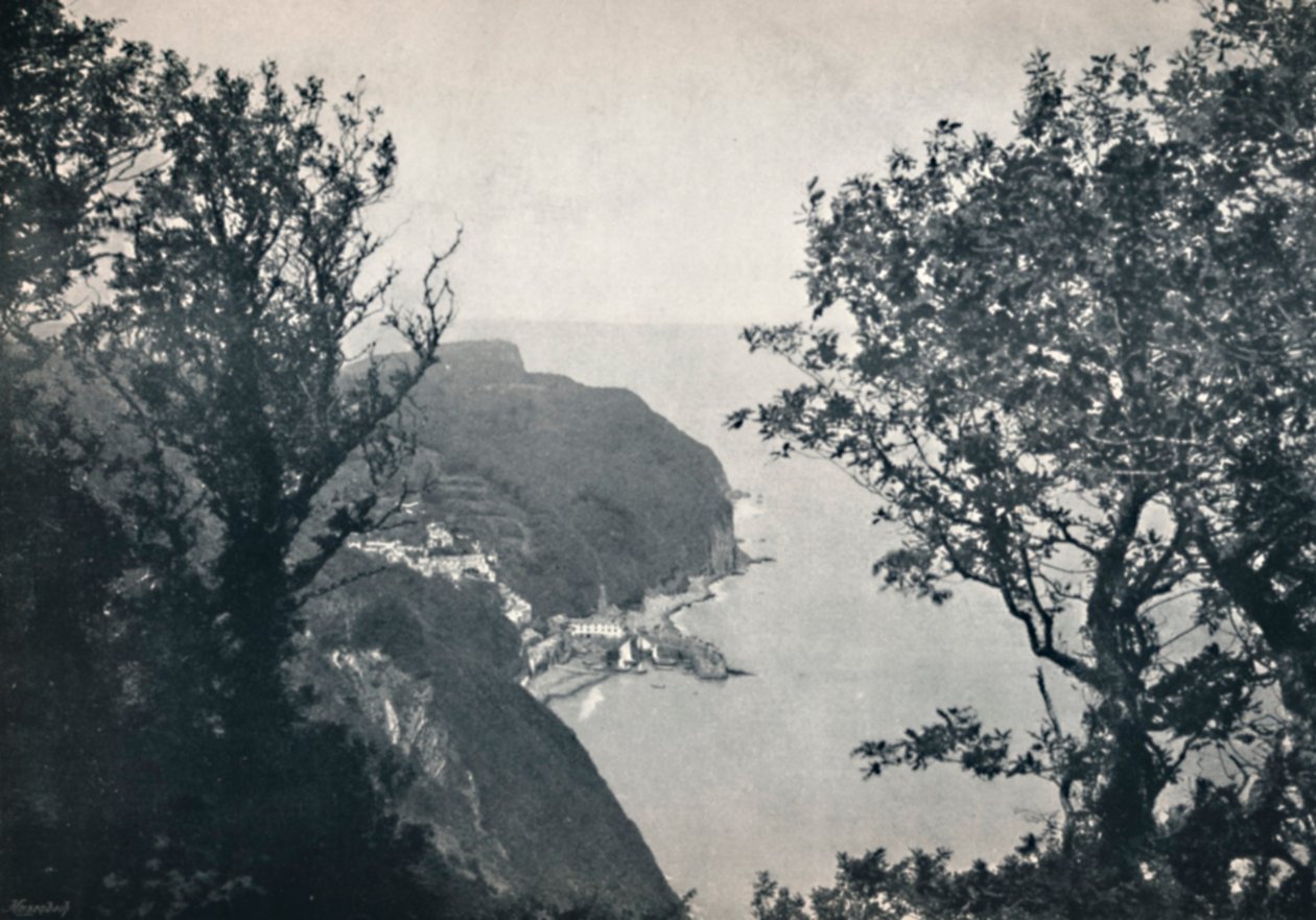 Clovelly - Utsikt fra Hobby Drive, 1895 av Unbekannt