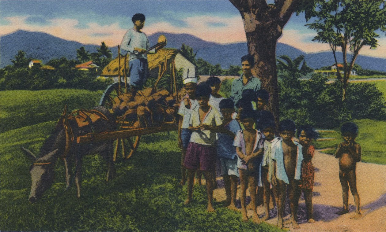 Coconut Vendor, Trinidad, BWI, c1940-tallet. av Unbekannt