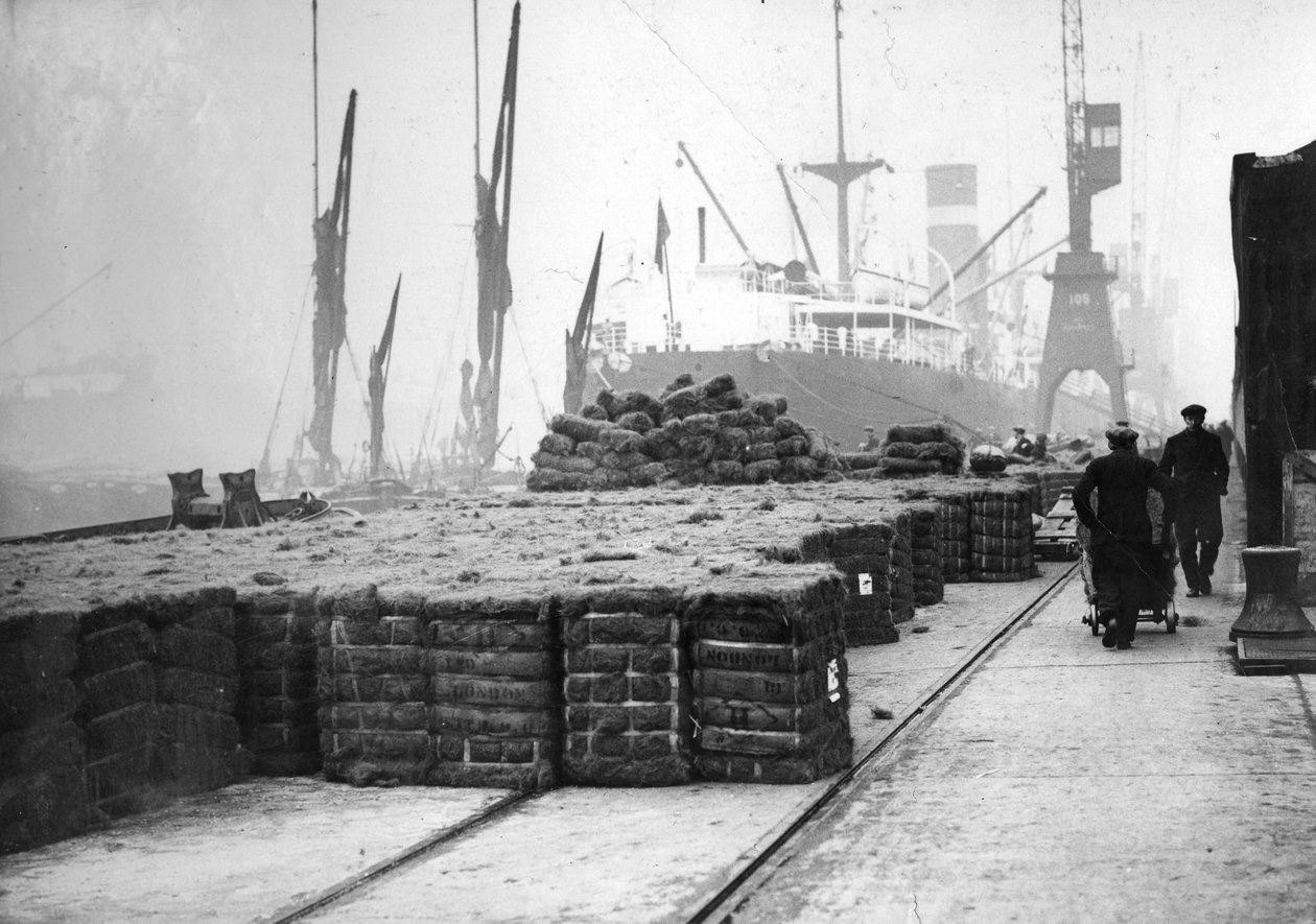 Kokosnøttproduksjon, 1900-tallet av Unbekannt
