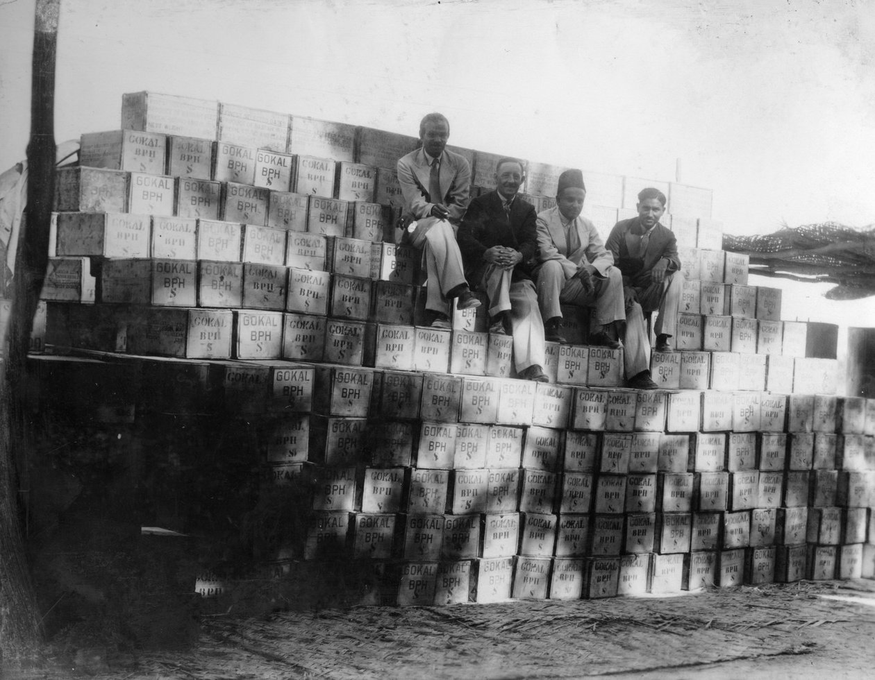Kokosnøttproduksjon, India, 1900-tallet av Unbekannt