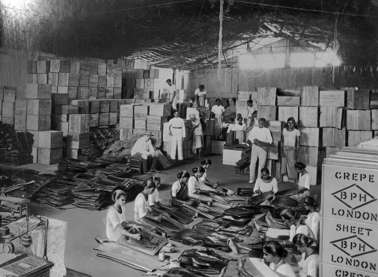 Kokosnøttproduksjon, India, 1900-tallet av Unbekannt