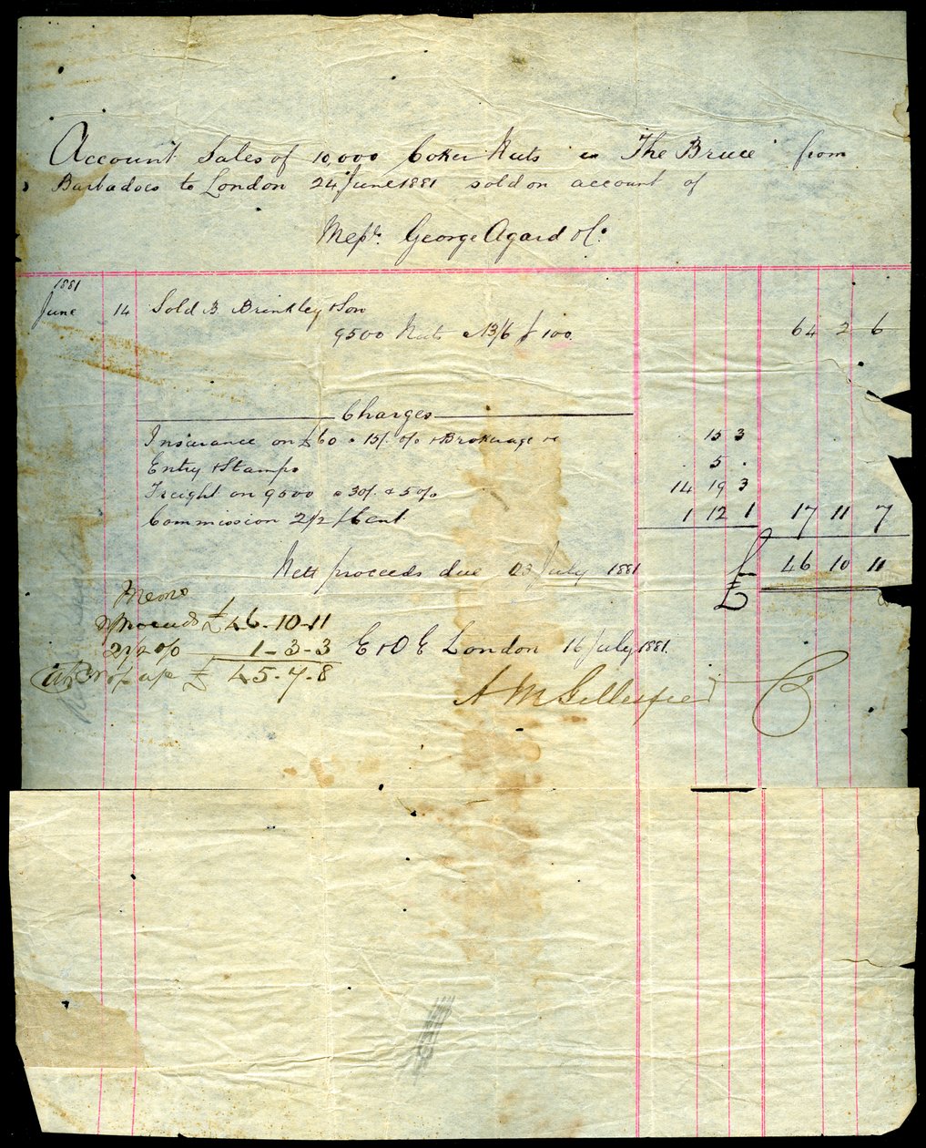 Salgskvittering for kokosnøtt, Barbados til London, 1881 av Unbekannt