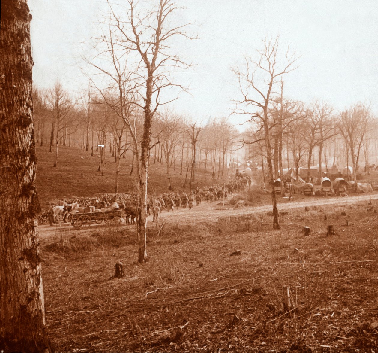 Søyle av tropper, Genicourt, Nord-Frankrike, c1914-c1918 av Unbekannt