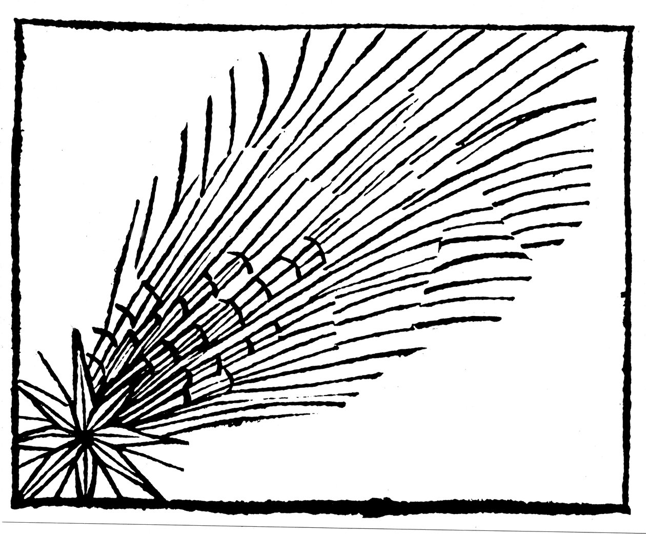 Komet av 684 Halley, 1493 av Unbekannt